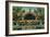 'Botanical Building and Lagoon. San Diego, California', c1941-Unknown-Framed Giclee Print