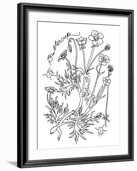 Botanical Buttercup BW for Coloring-Cyndi Lou-Framed Giclee Print