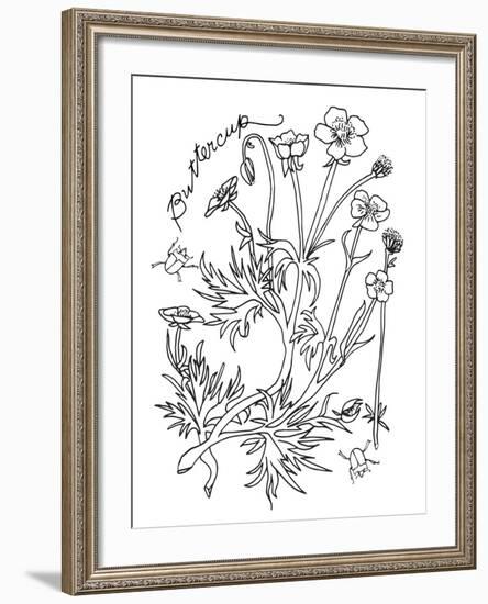 Botanical Buttercup BW for Coloring-Cyndi Lou-Framed Giclee Print