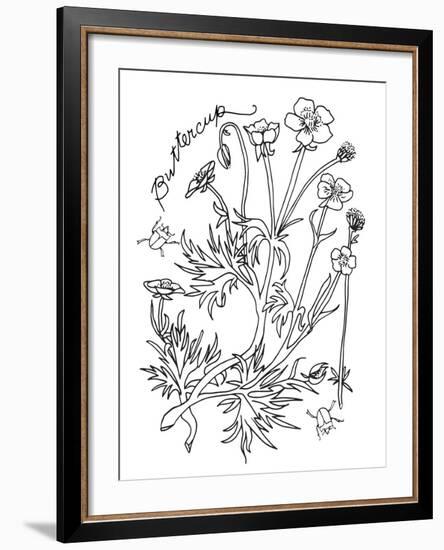 Botanical Buttercup BW for Coloring-Cyndi Lou-Framed Giclee Print