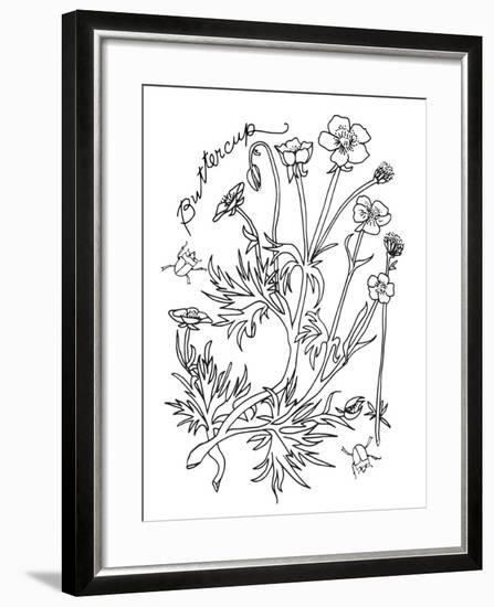 Botanical Buttercup BW for Coloring-Cyndi Lou-Framed Giclee Print