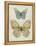 Botanical Butterflies II-Carol Robinson-Framed Stretched Canvas