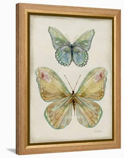Botanical Butterflies II-Carol Robinson-Framed Stretched Canvas