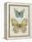 Botanical Butterflies II-Carol Robinson-Framed Stretched Canvas