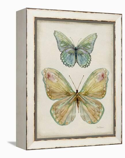 Botanical Butterflies II-Carol Robinson-Framed Stretched Canvas