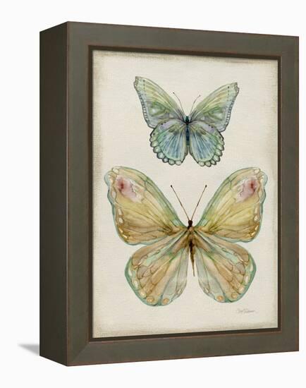 Botanical Butterflies II-Carol Robinson-Framed Stretched Canvas