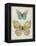 Botanical Butterflies II-Carol Robinson-Framed Stretched Canvas