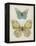 Botanical Butterflies II-Carol Robinson-Framed Stretched Canvas