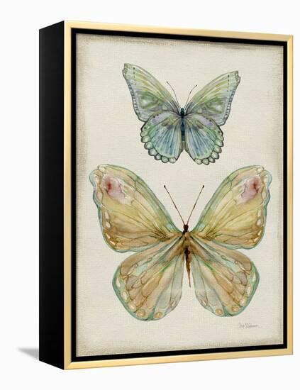 Botanical Butterflies II-Carol Robinson-Framed Stretched Canvas