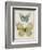 Botanical Butterflies II-Carol Robinson-Framed Art Print