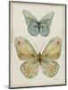 Botanical Butterflies II-Carol Robinson-Mounted Art Print