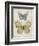 Botanical Butterflies II-Carol Robinson-Framed Art Print