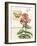 Botanical Collage I-Paul Brent-Framed Art Print