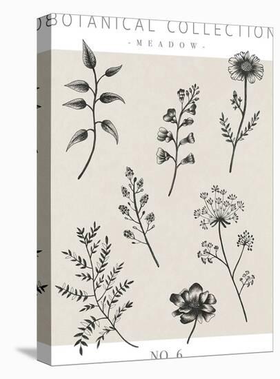 Botanical Collection - Meadow-Lucy Francis-Framed Stretched Canvas