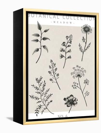 Botanical Collection - Meadow-Lucy Francis-Framed Stretched Canvas