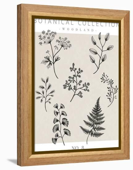 Botanical Collection - Woodland-Lucy Francis-Framed Stretched Canvas