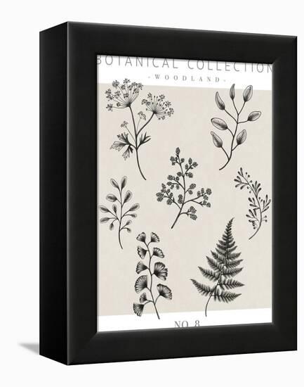 Botanical Collection - Woodland-Lucy Francis-Framed Stretched Canvas