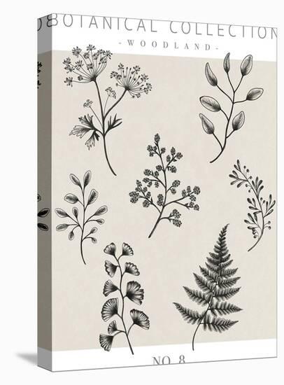 Botanical Collection - Woodland-Lucy Francis-Framed Stretched Canvas