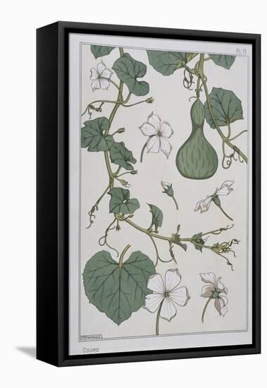 Botanical Diagram of a Gourd-Eugene Grasset-Framed Premier Image Canvas