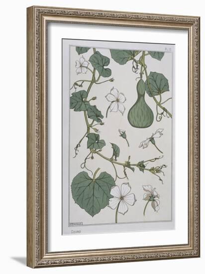 Botanical Diagram of a Gourd-Eugene Grasset-Framed Giclee Print