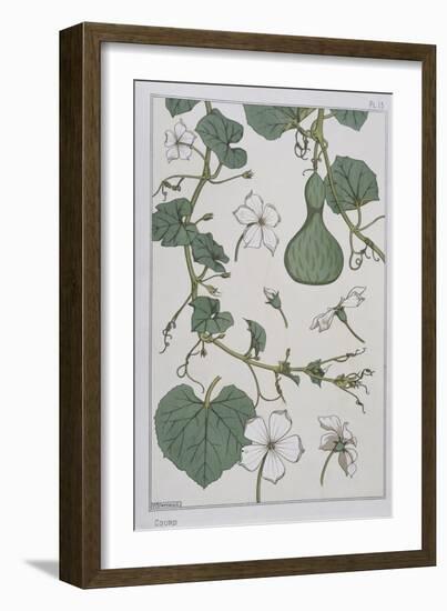 Botanical Diagram of a Gourd-Eugene Grasset-Framed Giclee Print