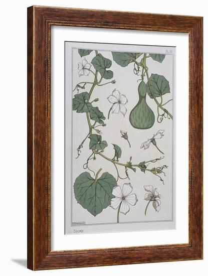 Botanical Diagram of a Gourd-Eugene Grasset-Framed Giclee Print