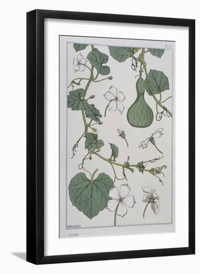 Botanical Diagram of a Gourd-Eugene Grasset-Framed Giclee Print