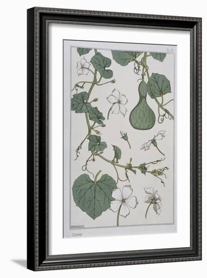 Botanical Diagram of a Gourd-Eugene Grasset-Framed Giclee Print