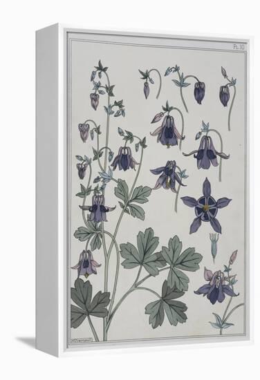 Botanical Diagram of Columbine-Eugene Grasset-Framed Premier Image Canvas