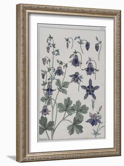 Botanical Diagram of Columbine-Eugene Grasset-Framed Giclee Print