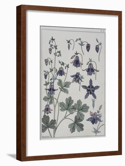 Botanical Diagram of Columbine-Eugene Grasset-Framed Giclee Print