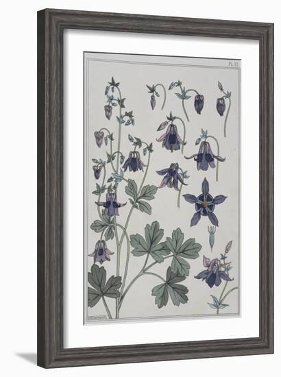 Botanical Diagram of Columbine-Eugene Grasset-Framed Giclee Print