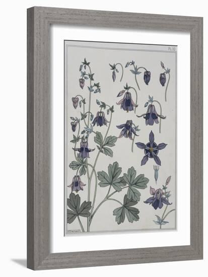 Botanical Diagram of Columbine-Eugene Grasset-Framed Giclee Print