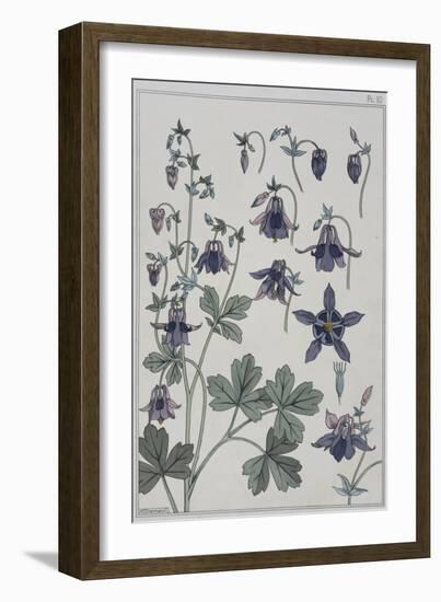 Botanical Diagram of Columbine-Eugene Grasset-Framed Giclee Print