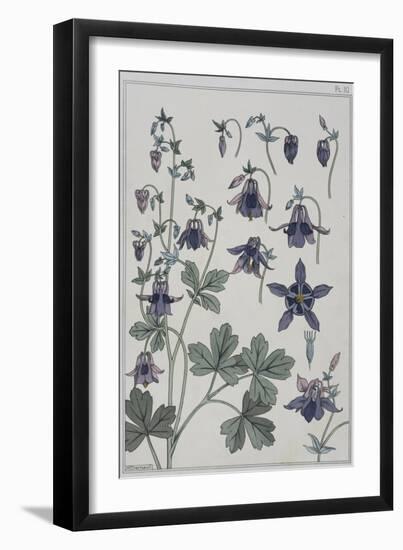 Botanical Diagram of Columbine-Eugene Grasset-Framed Giclee Print