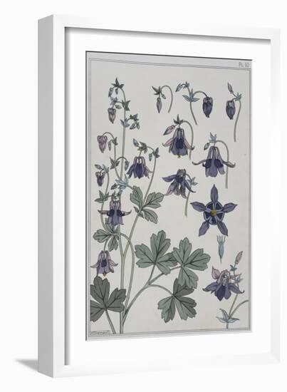 Botanical Diagram of Columbine-Eugene Grasset-Framed Giclee Print