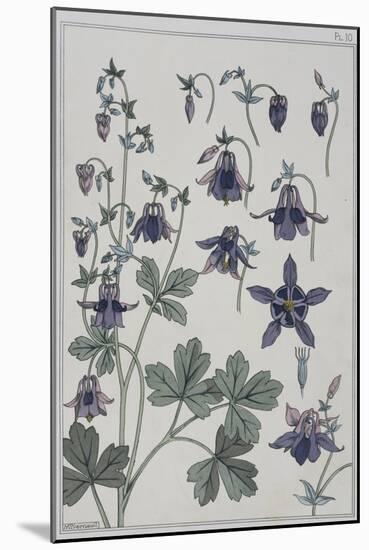 Botanical Diagram of Columbine-Eugene Grasset-Mounted Giclee Print