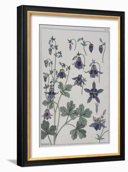 Botanical Diagram of Columbine-Eugene Grasset-Framed Giclee Print