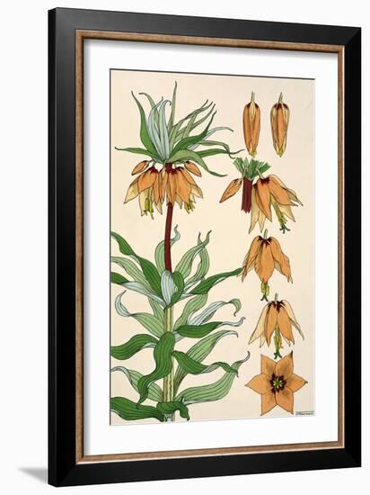 Botanical Diagram of Crown Imperial-Eugene Grasset-Framed Giclee Print