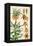 Botanical Diagram of Crown Imperial-Eugene Grasset-Framed Premier Image Canvas