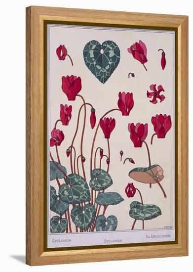 Botanical Diagram of Cyclamen-Eugene Grasset-Framed Premier Image Canvas