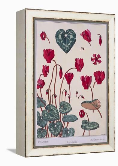 Botanical Diagram of Cyclamen-Eugene Grasset-Framed Premier Image Canvas