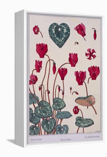 Botanical Diagram of Cyclamen-Eugene Grasset-Framed Premier Image Canvas