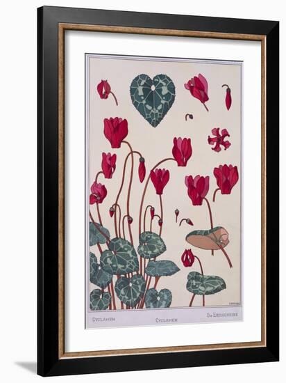 Botanical Diagram of Cyclamen-Eugene Grasset-Framed Giclee Print