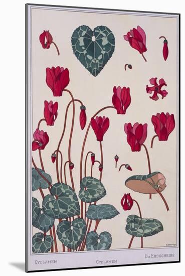 Botanical Diagram of Cyclamen-Eugene Grasset-Mounted Giclee Print