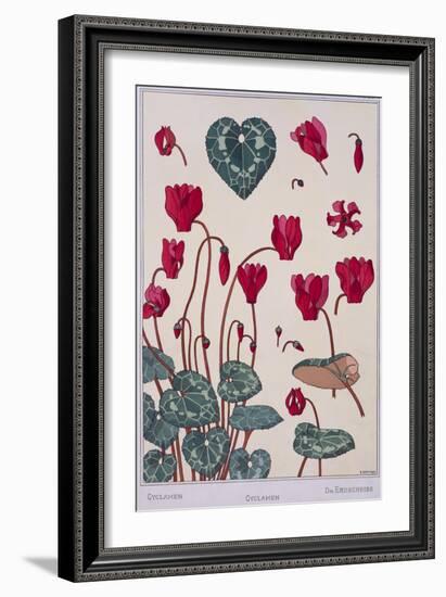 Botanical Diagram of Cyclamen-Eugene Grasset-Framed Giclee Print