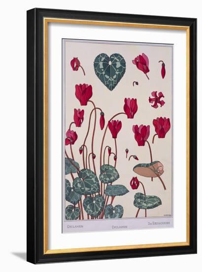 Botanical Diagram of Cyclamen-Eugene Grasset-Framed Giclee Print