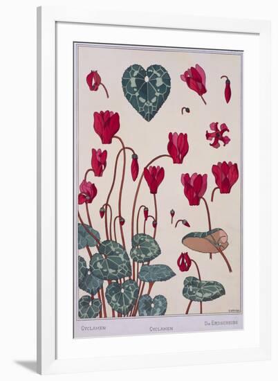 Botanical Diagram of Cyclamen-Eugene Grasset-Framed Giclee Print