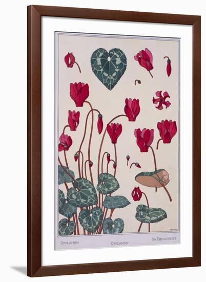 Botanical Diagram of Cyclamen-Eugene Grasset-Framed Giclee Print