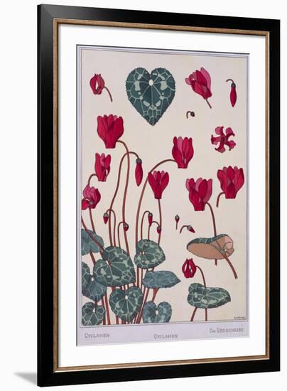 Botanical Diagram of Cyclamen-Eugene Grasset-Framed Giclee Print